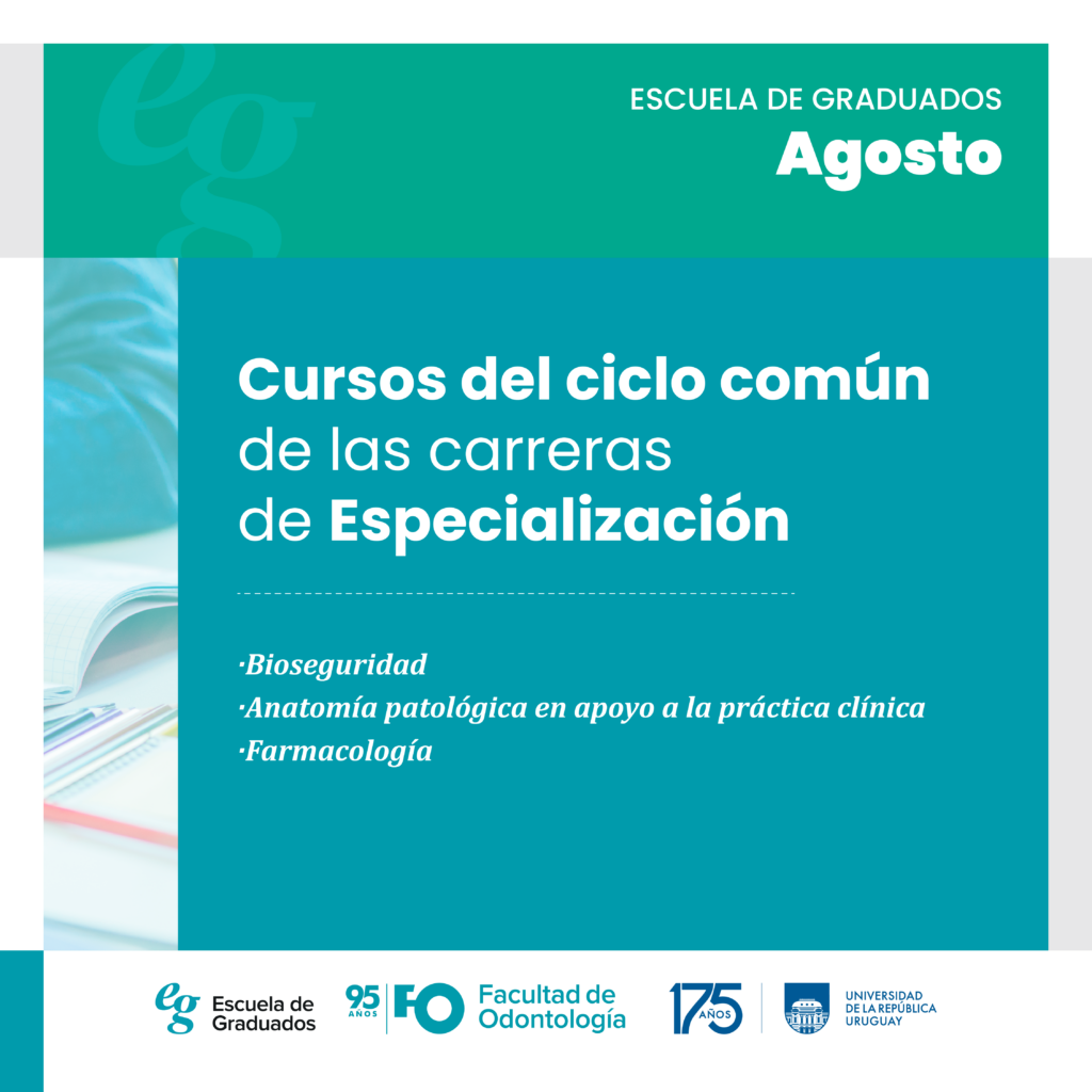 Cursos del ciclo común de las carreras de especialización