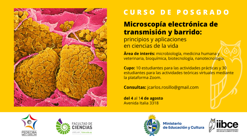 Curso PEDECIBA destinado a estudiantes de maestría y doctorado
