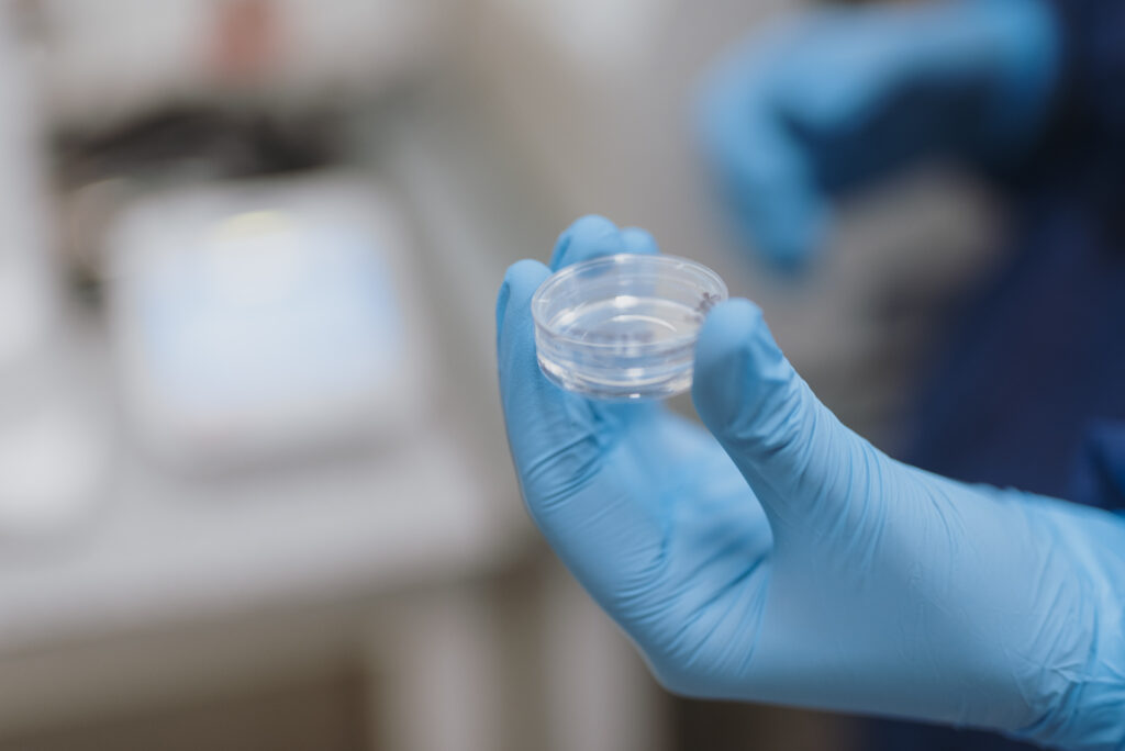 La CSIC abre sus convocatorias a Grupos I+D y Proyectos I+D