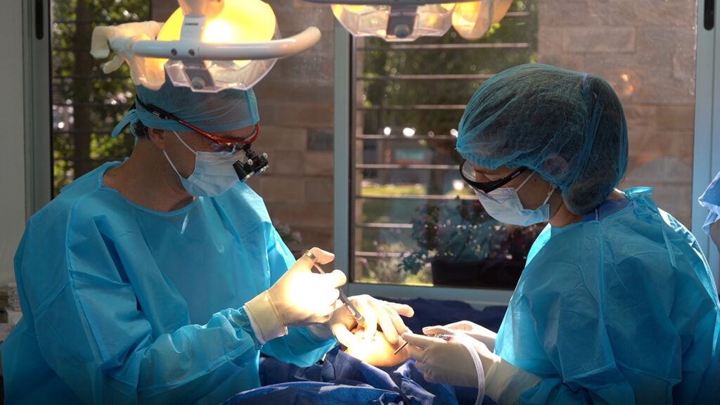 Docentes realizan investigación clínica sobre la mejora de implantes inmediatos en el área estética