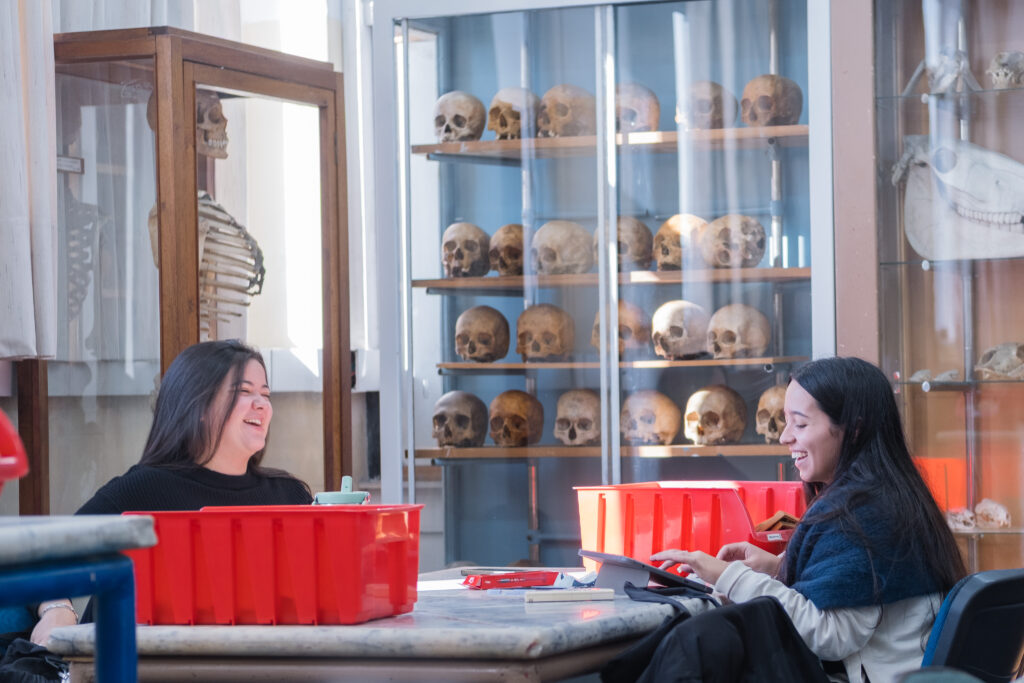 Museo de Anatomía Humana y Bucodental: Centro de aprendizaje activo, conservación patrimonial e innovación en la FO